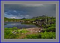 031 IMG_7430.jpg