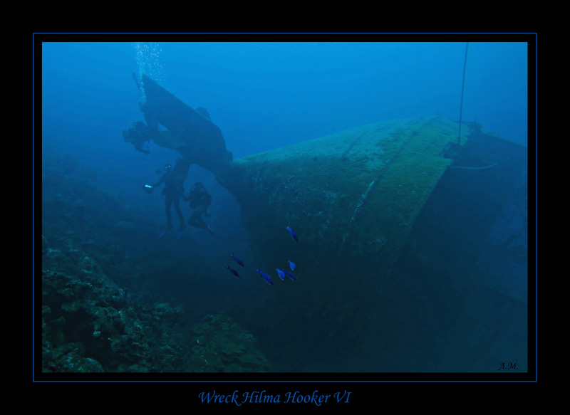 008 CRW_7498.jpg