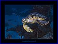016 CRW_7646.jpg