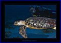 017 CRW_7647.jpg