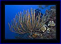 018 CRW_7535.jpg