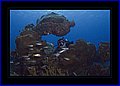 019 CRW_7539.jpg