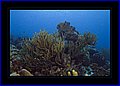 020 CRW_7542.jpg