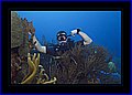 021 CRW_7544.jpg