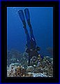 022 CRW_7545.jpg