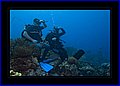 024 CRW_7556.jpg