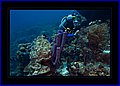 025 CRW_7595.jpg