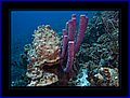 026 CRW_7592.jpg