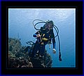 027 CRW_7582.jpg