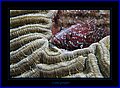 029 CRW_7628.jpg