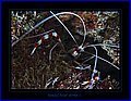 047 CRW_7656.jpg