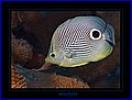 062 CRW_7749.jpg