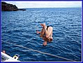 Mavrikij 085.jpg