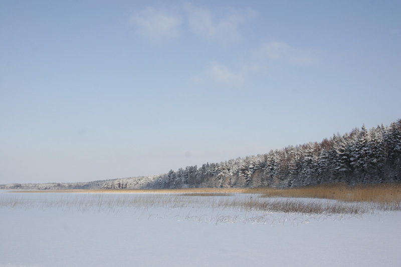 _MG_2063.JPG