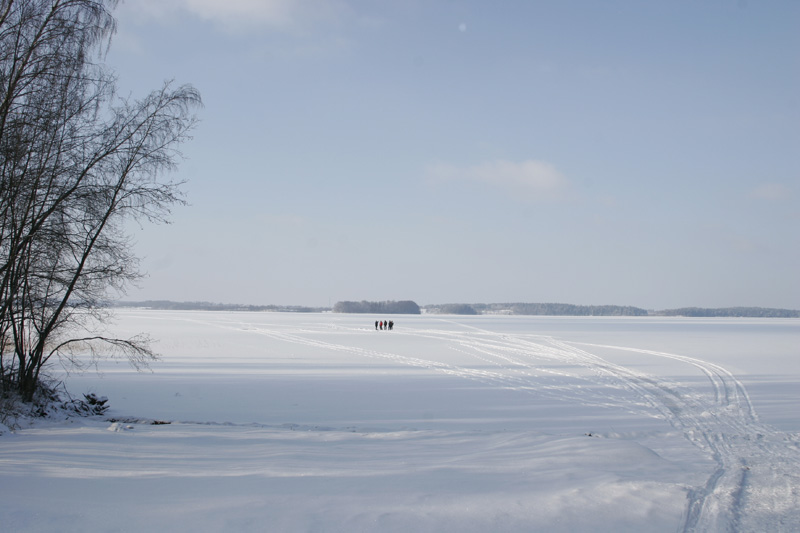 _MG_2064.JPG