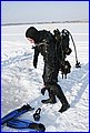 _MG_2168.JPG