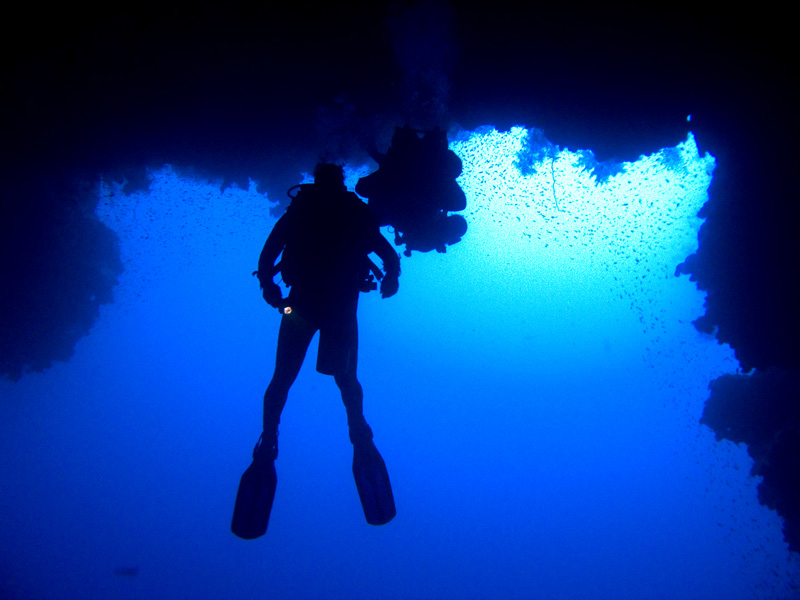 CRW_3675.jpg