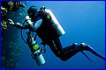 CRW_3687.jpg