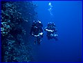 CRW_3691.jpg