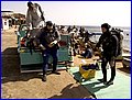 CRW_7571.jpg