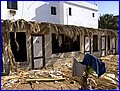 CRW_7583.jpg