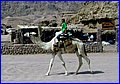 IMG_3767.jpg