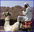 IMG_3780.jpg