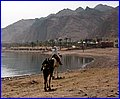 IMG_3784.jpg