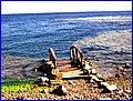 IMG_3819.jpg
