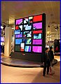 IMG_5017.JPG