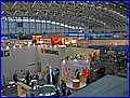 IMG_5028.JPG