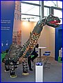IMG_5056.JPG