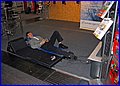 IMG_5058.JPG