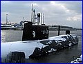 IMG_5090.JPG