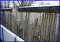 IMG_5103.JPG