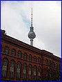IMG_5135.JPG