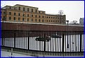 IMG_5177.JPG
