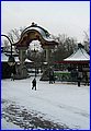 IMG_5178.JPG