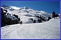 070.JPG