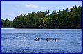 _MG_3751.jpg