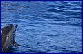 _MG_3754.jpg
