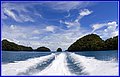 _MG_3812.jpg