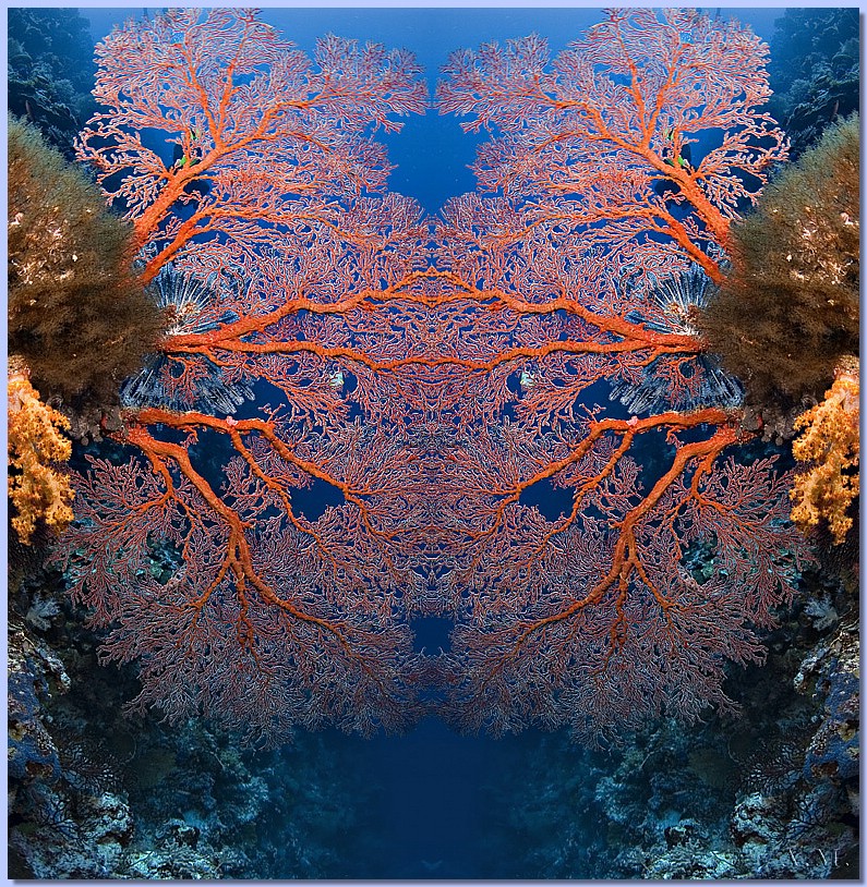022XH3N7992.jpg