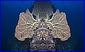 021Untitled-1.jpg