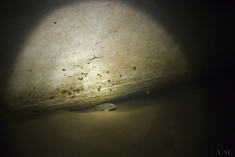 _XH3N9235.jpg