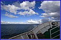 _MG_4565.jpg