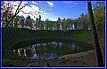 _MG_4576.jpg