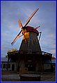 _MG_4590.jpg