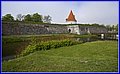 _MG_4593.jpg