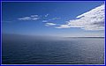 _MG_4781.jpg